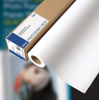 PREMIUM LUSTER PHOTO PAPEL 260 10" X 100  